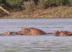 Hluhluwe-Umfolozi Park